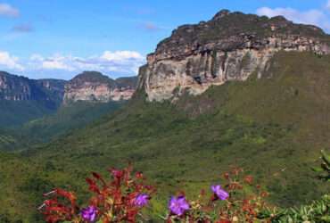 chapada