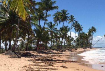 Praia da Bombaça (3)