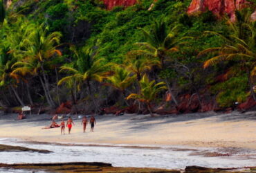 Praia de Pitinga (3)