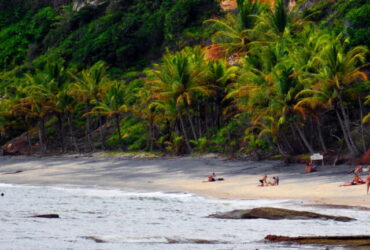 Praia de Pitinga (3)